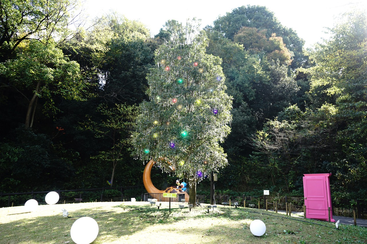 3階「はらっぱ」にあるクリスマスツリー、昼のイメージ。