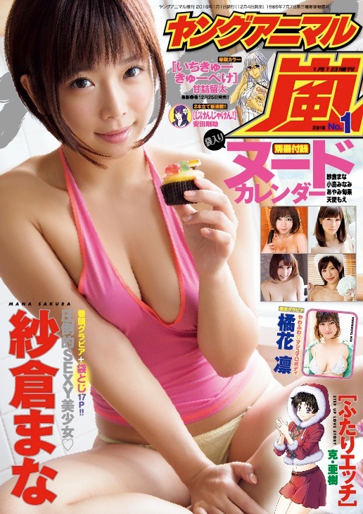 ヤングアニマル嵐2016年1号