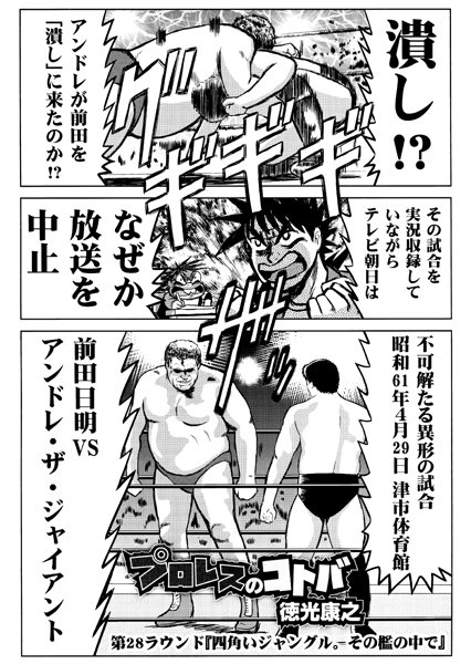 「最狂 超プロレスファン烈伝」4.5巻収録の「プロレスのコトバ」より。 (c)徳光康之