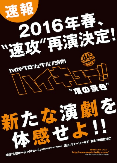 「ハイパープロジェクション演劇『ハイキュー!!』“頂の景色”」のチラシ。