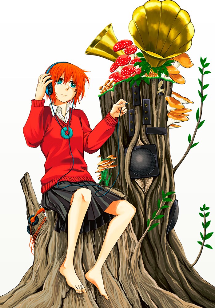 「魔法使いの嫁」5巻限定版BOXイラスト