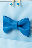 トローリーバッグ（セーラーマーキュリーver.）