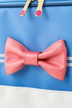 トローリーバッグ（セーラームーンver.）