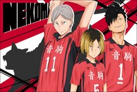 音駒高校のポストカード。