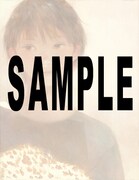 またよし油絵ポスターのサンプル。