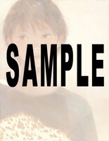 またよし油絵ポスターのサンプル。