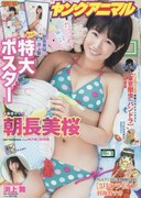 ヤングアニマル3号