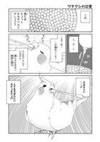 「とりの、いそじさん。」第1話より。