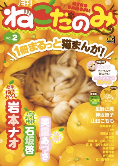 月刊ねこだのみ2号
