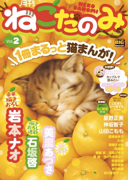 月刊ねこだのみ2号