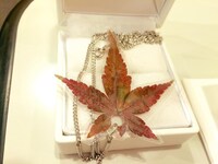 ドラマのワンシーン。