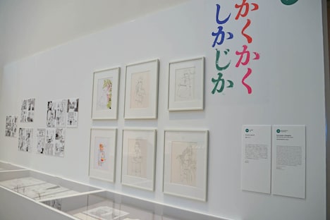「かくかくしかじか」の展示。
