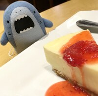 ホオジロとケーキ。