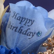 弱虫ペダルグッズ プレミアムライン オリジナルBirthdayフォトローズ [福富寿一]