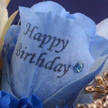 弱虫ペダルグッズ プレミアムライン オリジナルBirthdayフォトローズ [福富寿一]