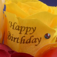 弱虫ペダルグッズ プレミアムライン オリジナルBirthdayフォトローズ [小野田坂道]