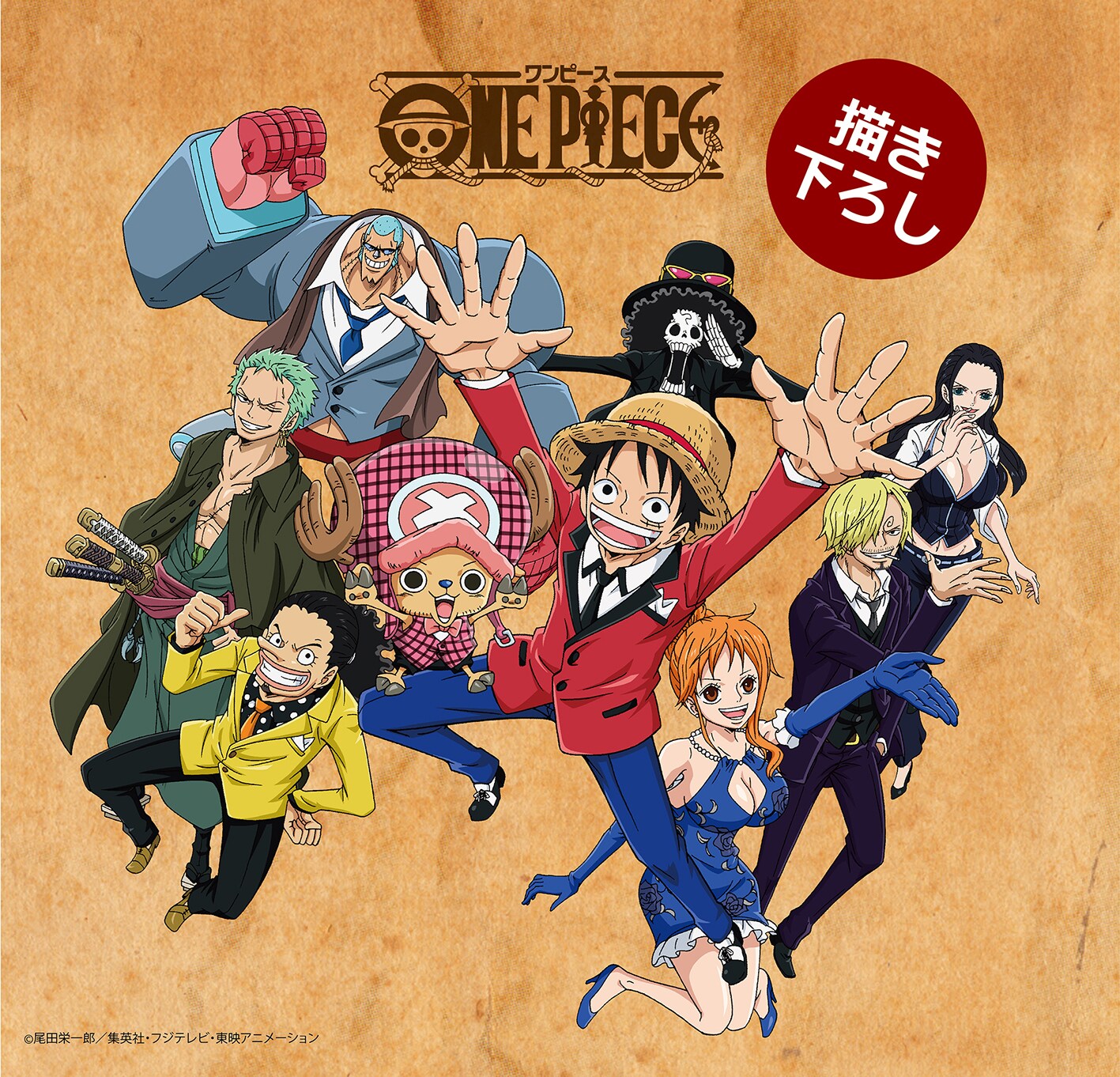 ONE PIECE」婚姻届のラインナップ。 [画像ギャラリー 11/12