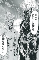 不動明王と釈迦如来の化身に変身したアキラとサクヤ。