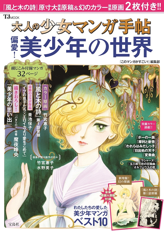 「大人の少女マンガ手帖 偏愛！美少年の世界」