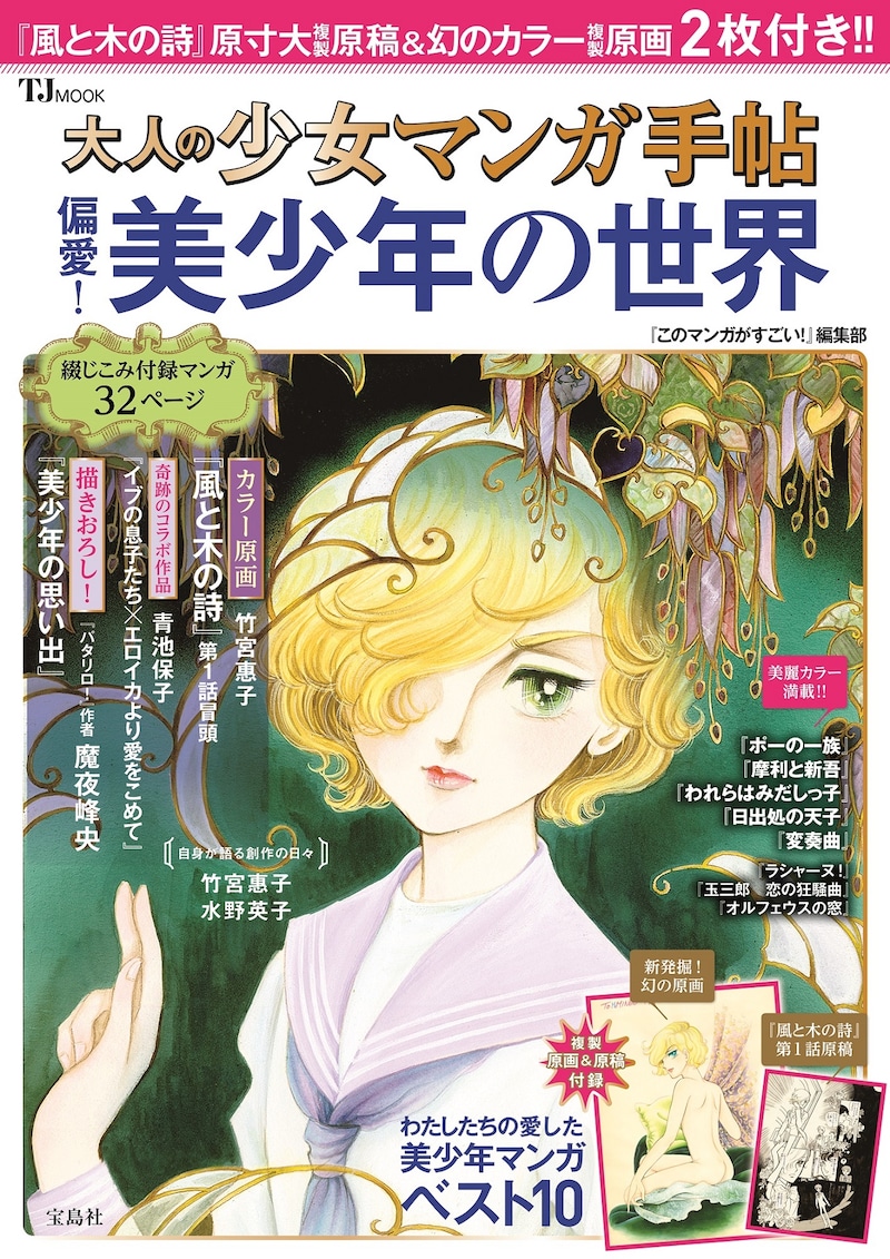 「大人の少女マンガ手帖 偏愛！美少年の世界」