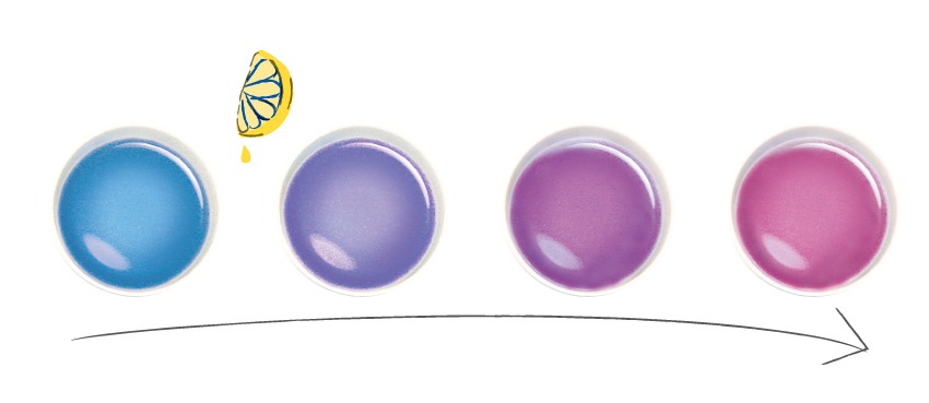 レモンを入れると、どんどん色が変化する。