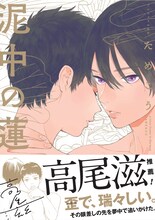 ためこう「泥中の蓮」帯付き