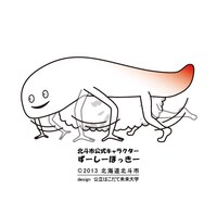 ずーしーほっきーの歩行・走行バリエーションより、走り（四足歩行）。