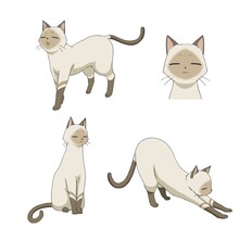 ケニー（CV：佐倉綾音）