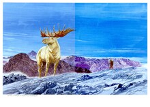 「谷口ジロー画集 jiro taniguchi」より。