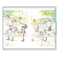 コンパクトミラー