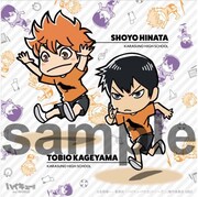 ミニゲーム「スポーツテスト！」の景品としてもらえるミニタオル。