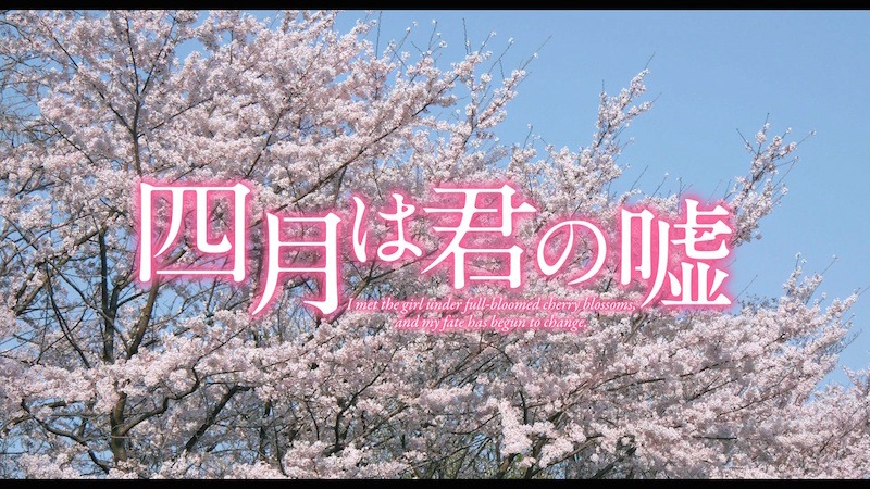映画「四月は君の嘘」特報より。