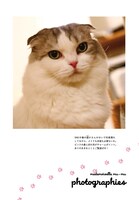 今日マチ子の愛猫であるムーム嬢。