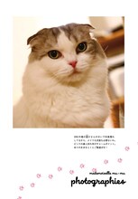 今日マチ子の愛猫であるムーム嬢。