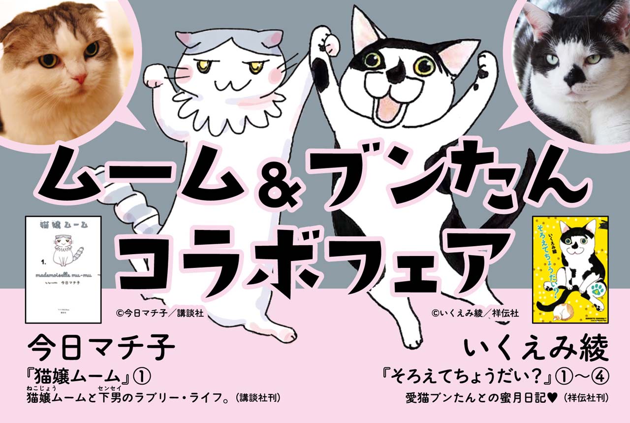 「猫嬢ムーム」と「そろえてちょうだい？」のコラボPOP。