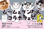 「猫嬢ムーム」と「そろえてちょうだい?」のコラボPOP。
