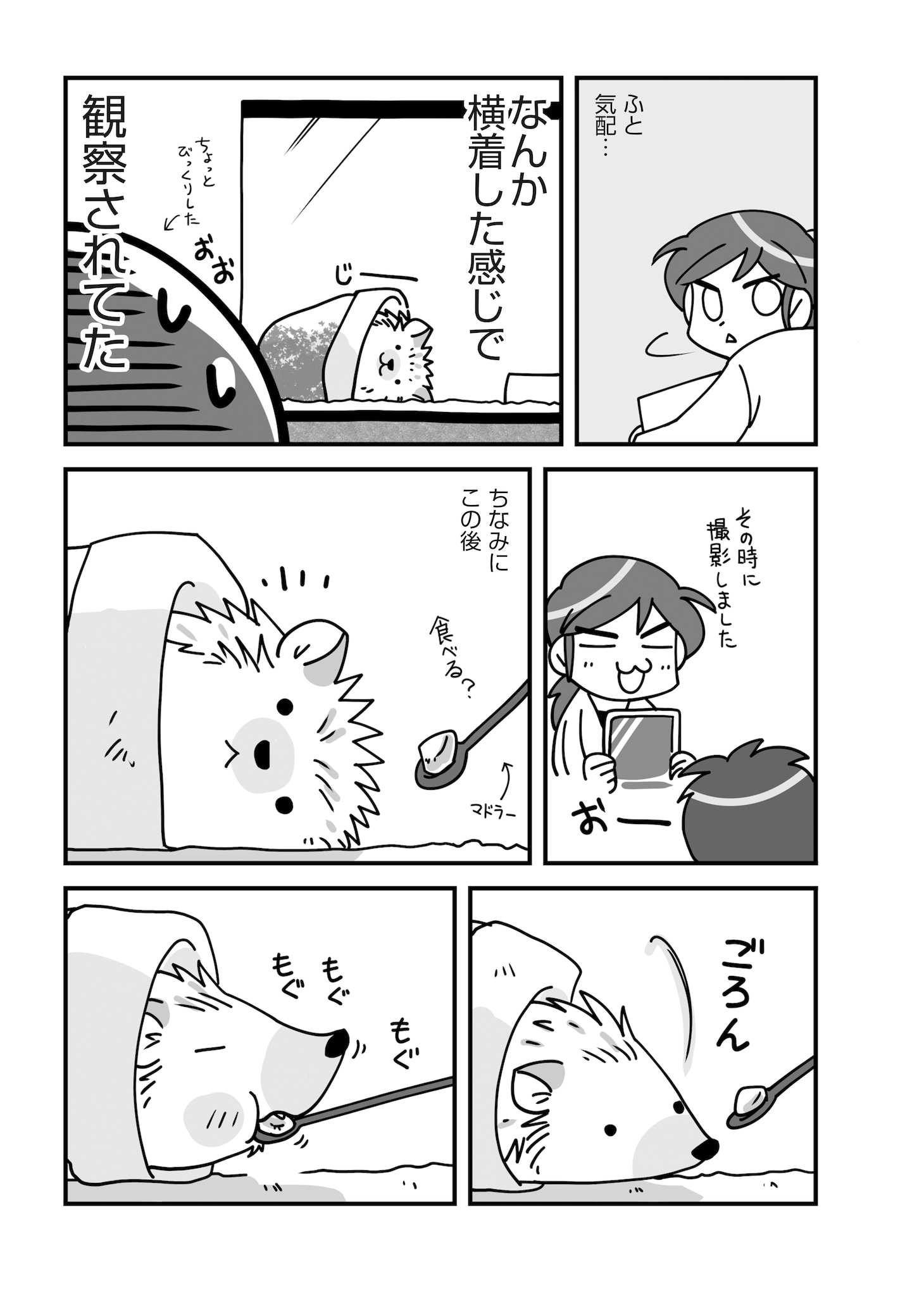 「ハリネズミといっしょ2」より。