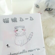「猫嬢ムーム」1巻と、今日マチ子の愛猫・ムーム。