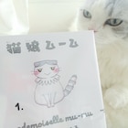 今日マチ子に飼い猫を描いてもらえる、「猫嬢ムーム」1巻記念キャンペーン