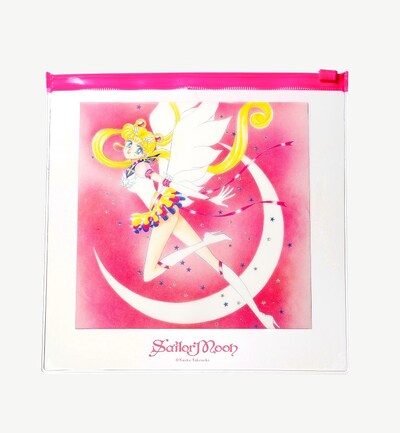 付録のビニールポーチ。