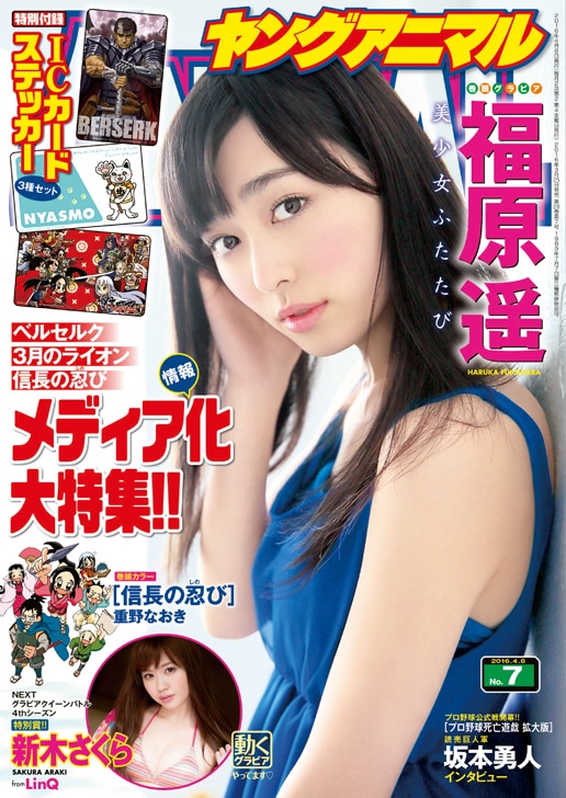 ヤングアニマル7号