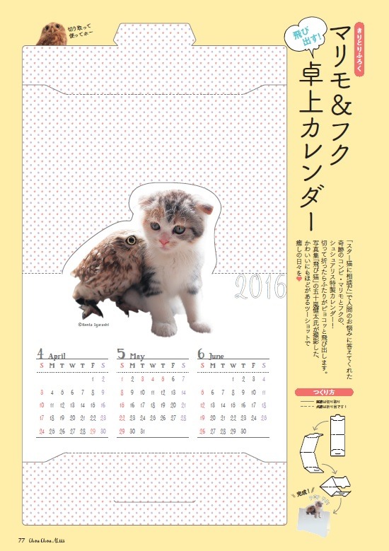 付録は切り取り式の卓上カレンダー。