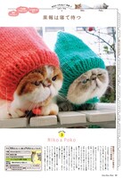 シュシュアリスvol.10の猫特集より。