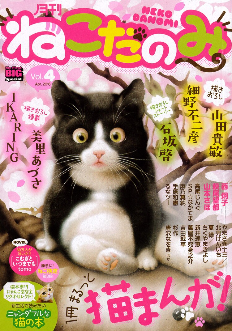 月刊ねこだのみに山田貴敏 細野不二彦が登場 自身と猫について描く コミックナタリー