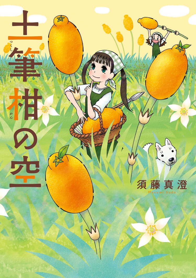須藤真澄がビームで10年超描いた短編連作シリーズ最終巻 土筆柑の空 発売 コミックナタリー 須藤真澄がビームで10年超描いた短編連作シリーズ最終巻 土筆柑の空 発売 コミックナタリー