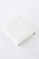 「ザップ・レンフロモデル」