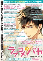 「ラブコメのバカ」2巻のポスター。