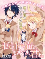 「私と仔猫と、ときどき、君と。」