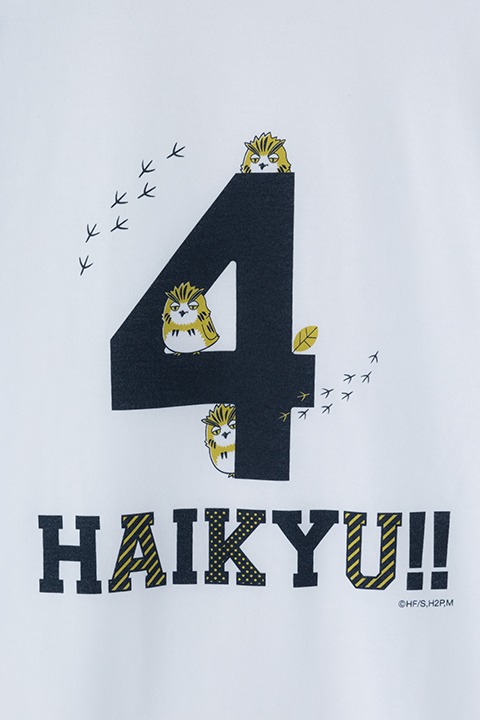 梟谷学園高校モデル