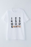 烏野高校モデル